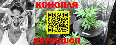 бошки Славгород