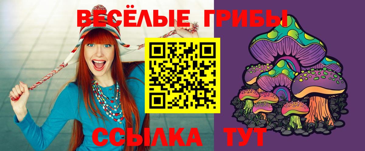 Псилоцибиновые грибы Psilocybine cubensis  Вход с VPN  Урус-Мартан 