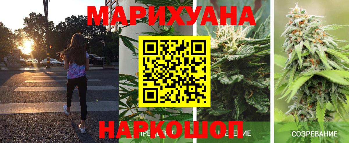 Урус-Мартан  Каннабис VHQ  Марихуана конопля  Вход с VPN  Бошки марихуана Bruce Banner  Канабис план 